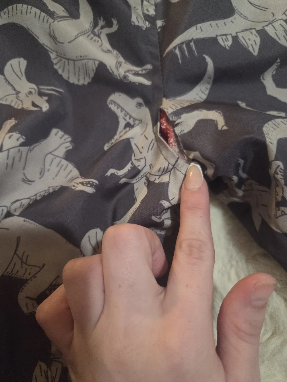 Boys 4T Carter's Hoodie Jacket with Dinosaur Print and Red Lining